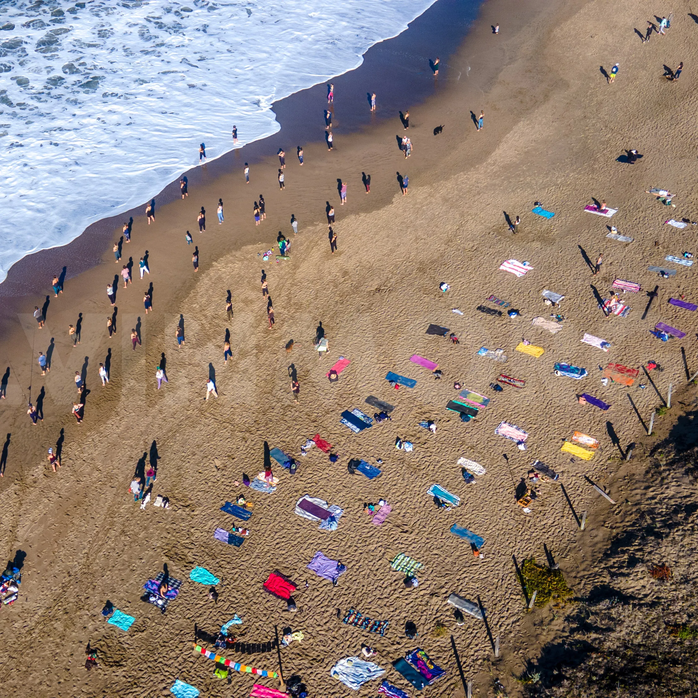 Overhead shot of a large outdoor class on the beach