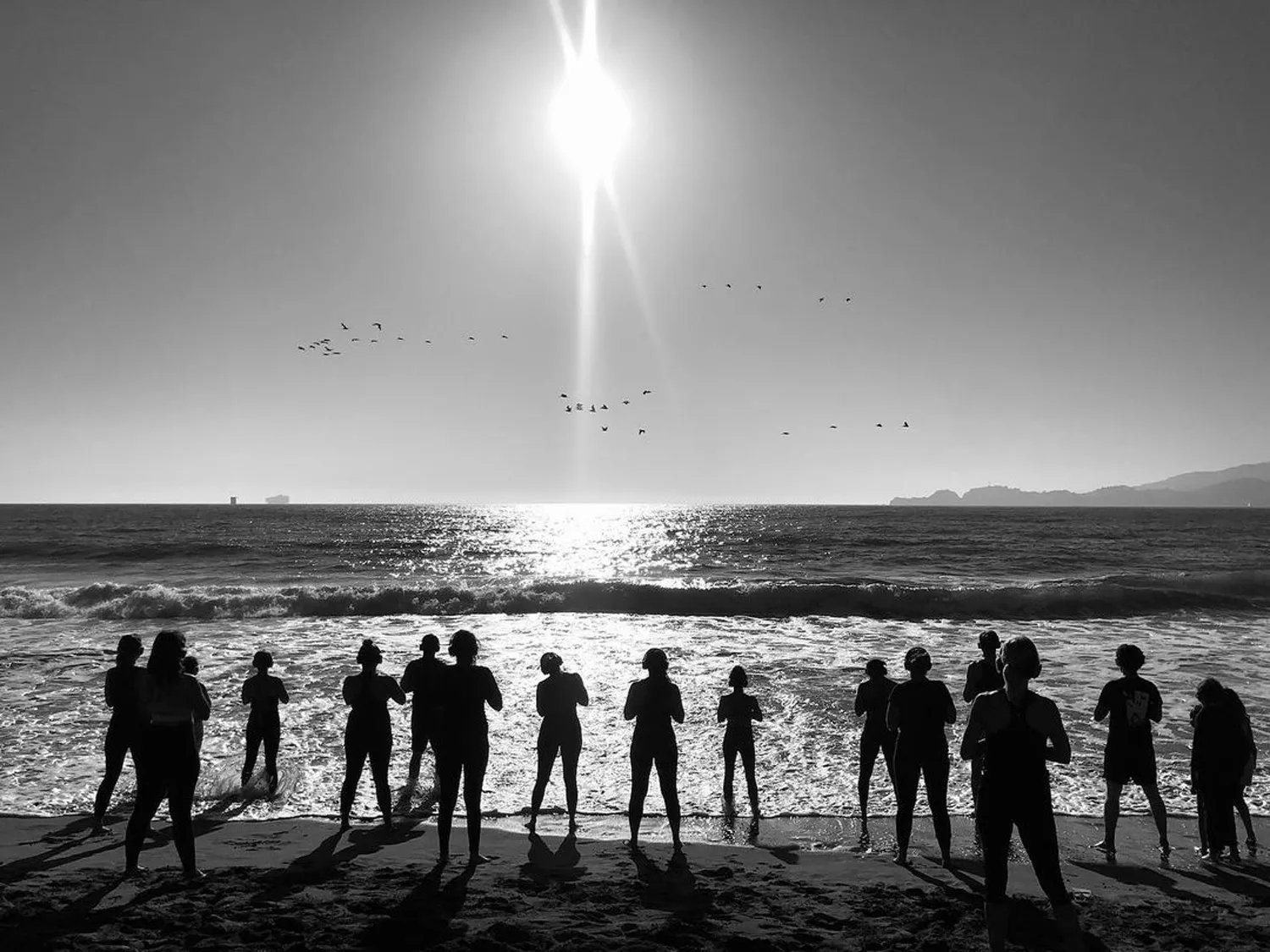 Virtual Yoga Membership & Live Practices | Janet Stone Yoga