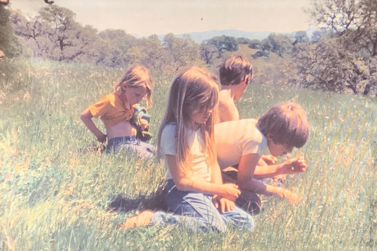 A photo of Janet a child in a grassy field