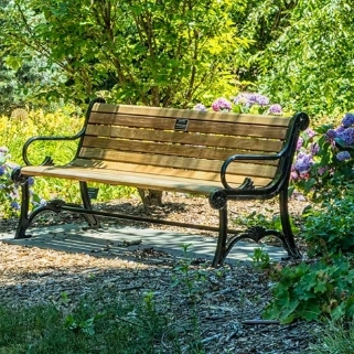 Empty wooden park bench surrounded by blooming purple hydrangeas and lush greenery in a sunny garden setting, inviting relaxation and serenity.