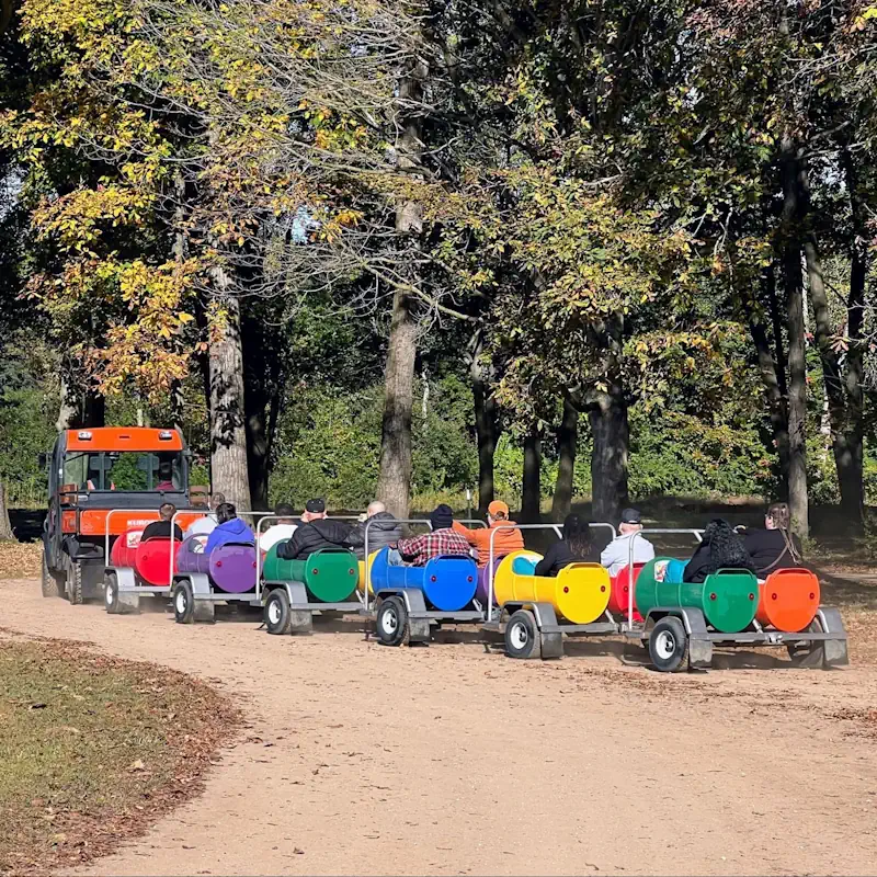 Group of people riding in a vibrant, multi-colored barrel train pulled by a tractor along a wooded dirt path, enjoying a scenic outdoor excursion.