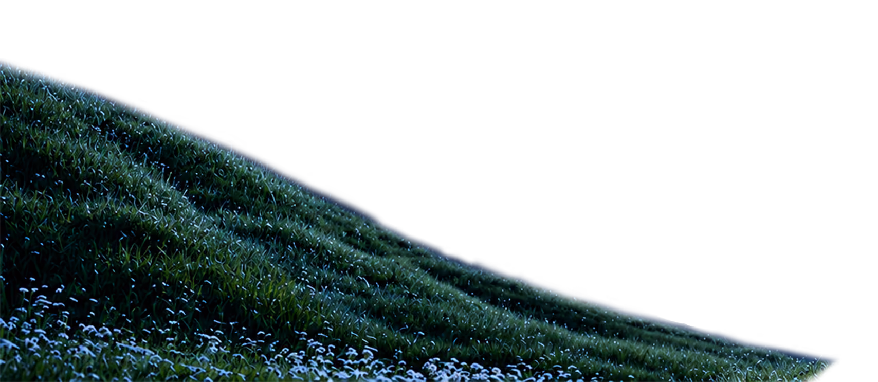 Decorative grassy hill