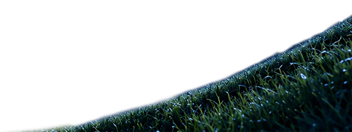 Decorative grassy hill