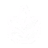 Fiber