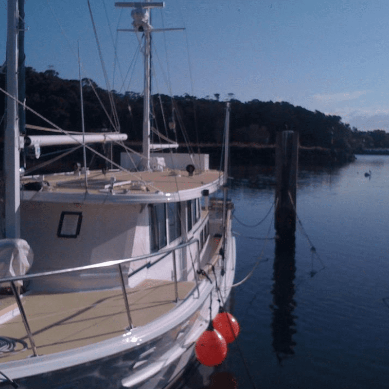 Beyond Byron Hinterland Tour