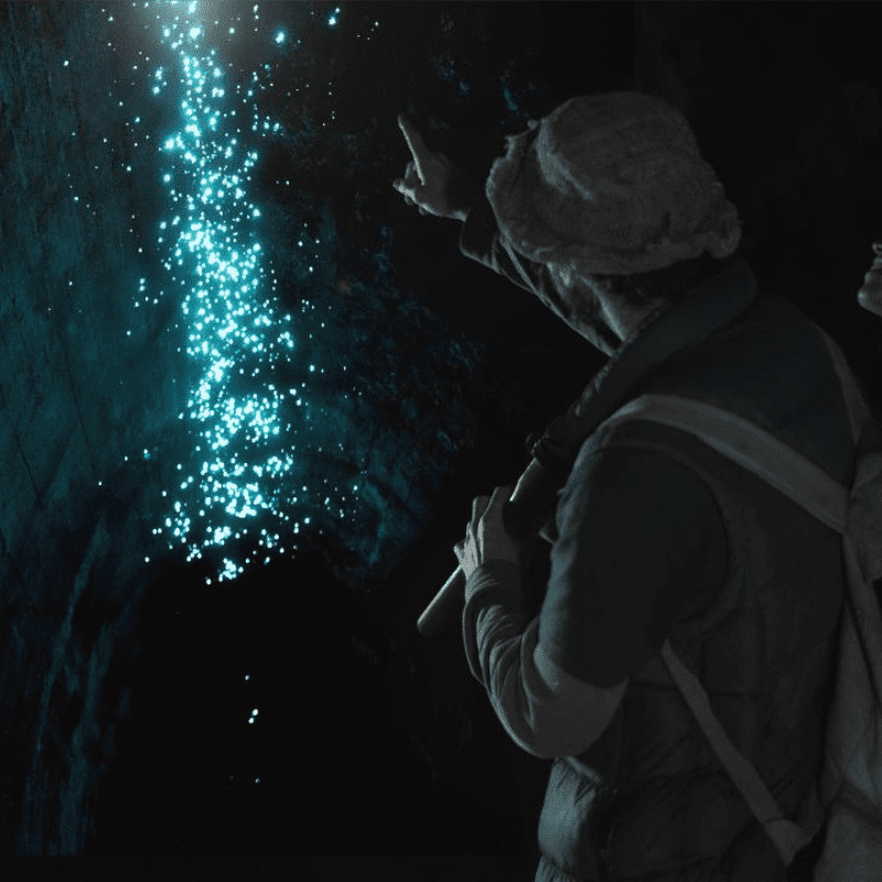 HINTERLAND MAGIC & GLOW-WORM EXPERIENCE