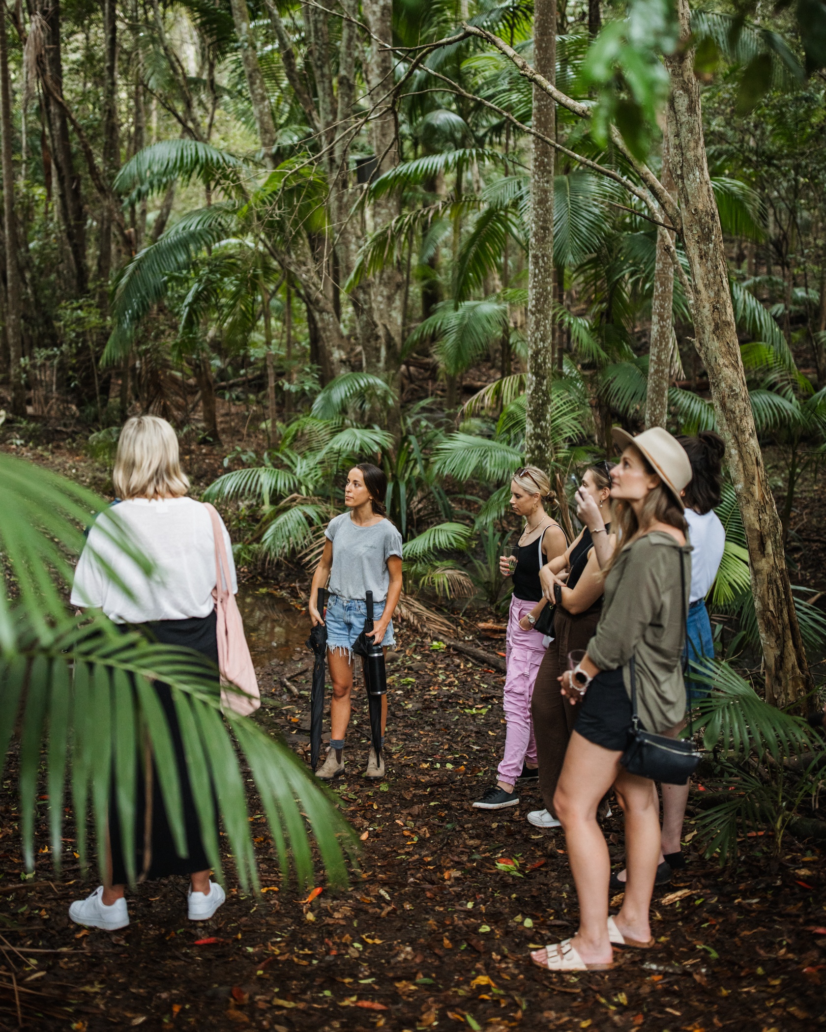 Cape Byron Distillery - Rainforest & Gin Tasting Tour