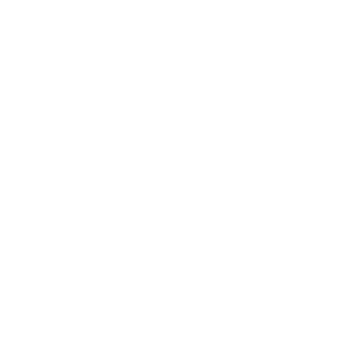 L’Immobilier International logo featuring a globe on a black background.