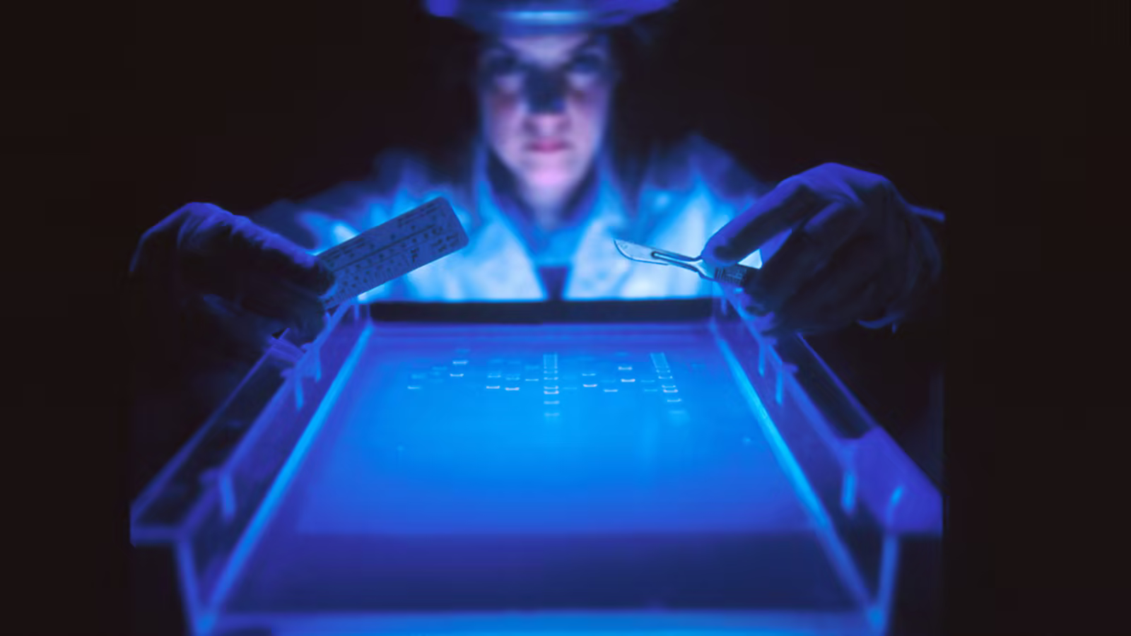 Une table lumineuse où des négatifs sont triés selon leur importance