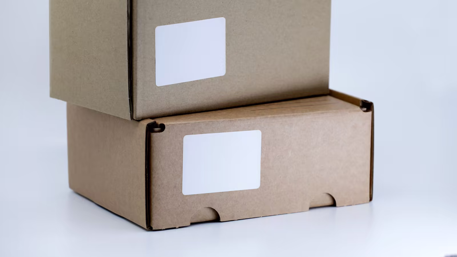 An archival transfer checked box by box before opening