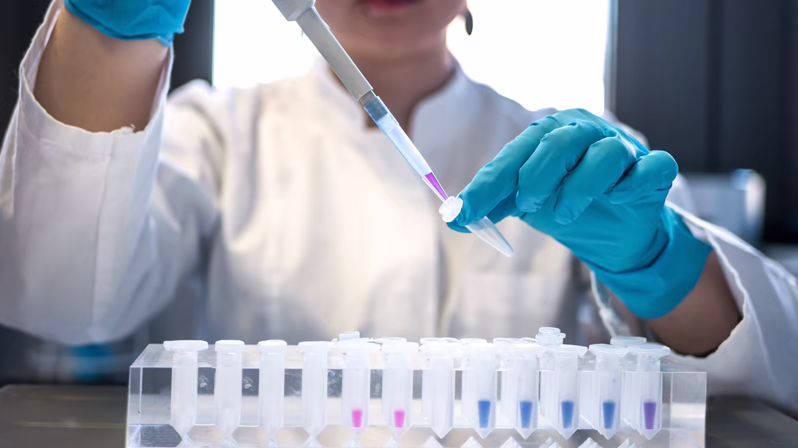 Samples precisely distributed between two laboratory protocols
