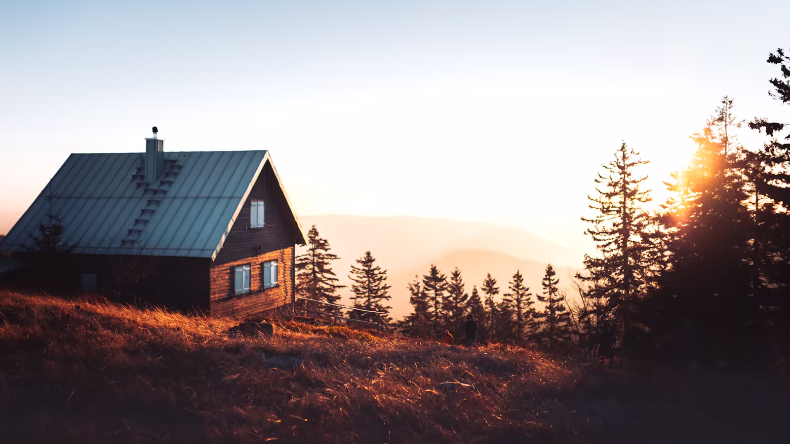 A professional working remotely in a calm and controlled place