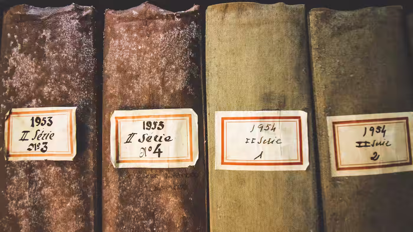 Objects precisely cataloged in a museum reserve