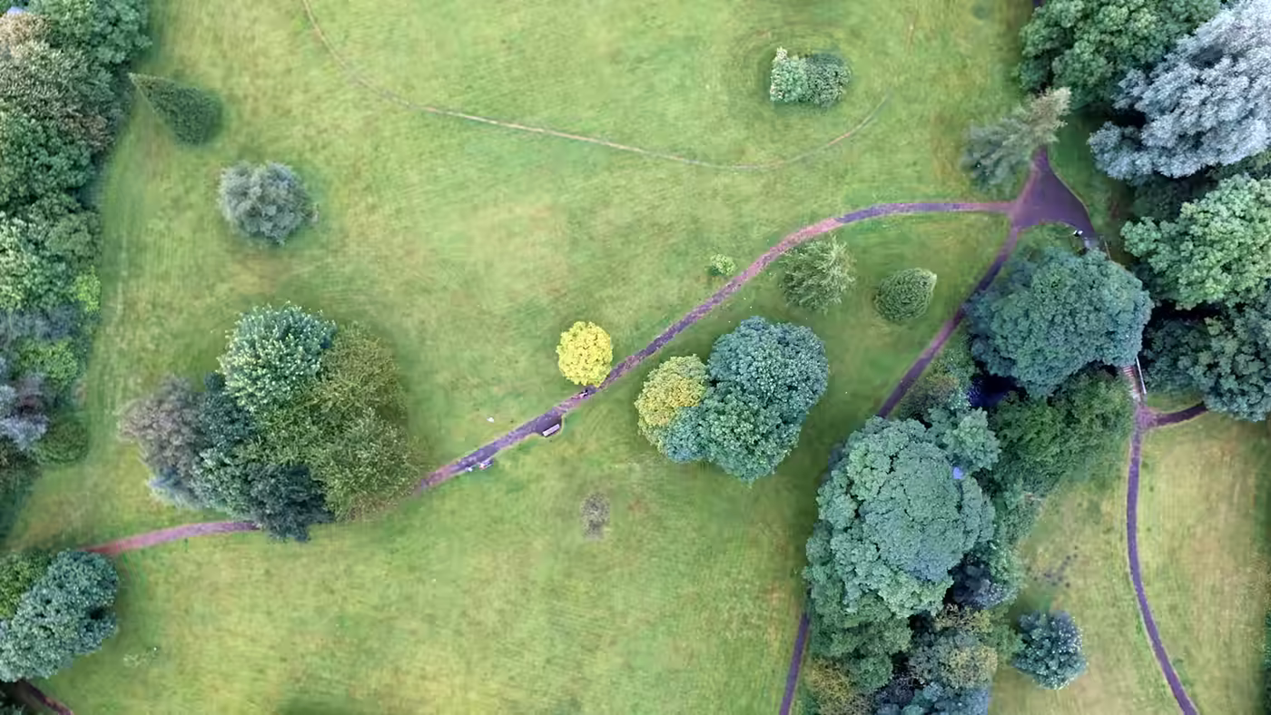Des chemins réels se croisant dans un paysage observé depuis le ciel