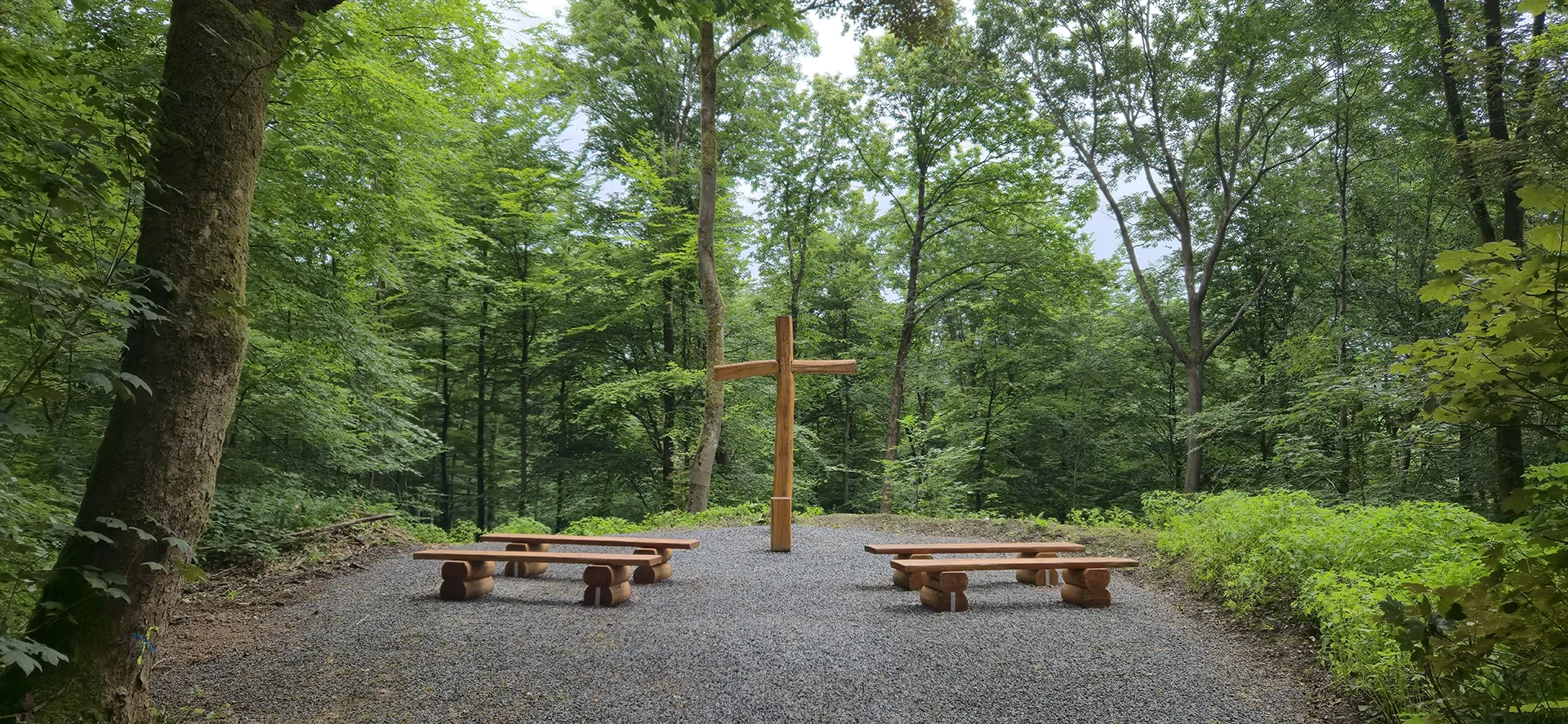 Naturnahe Grabstätte im Begräbniswald Ehringhausen – Baumbestattung Bergisches Land