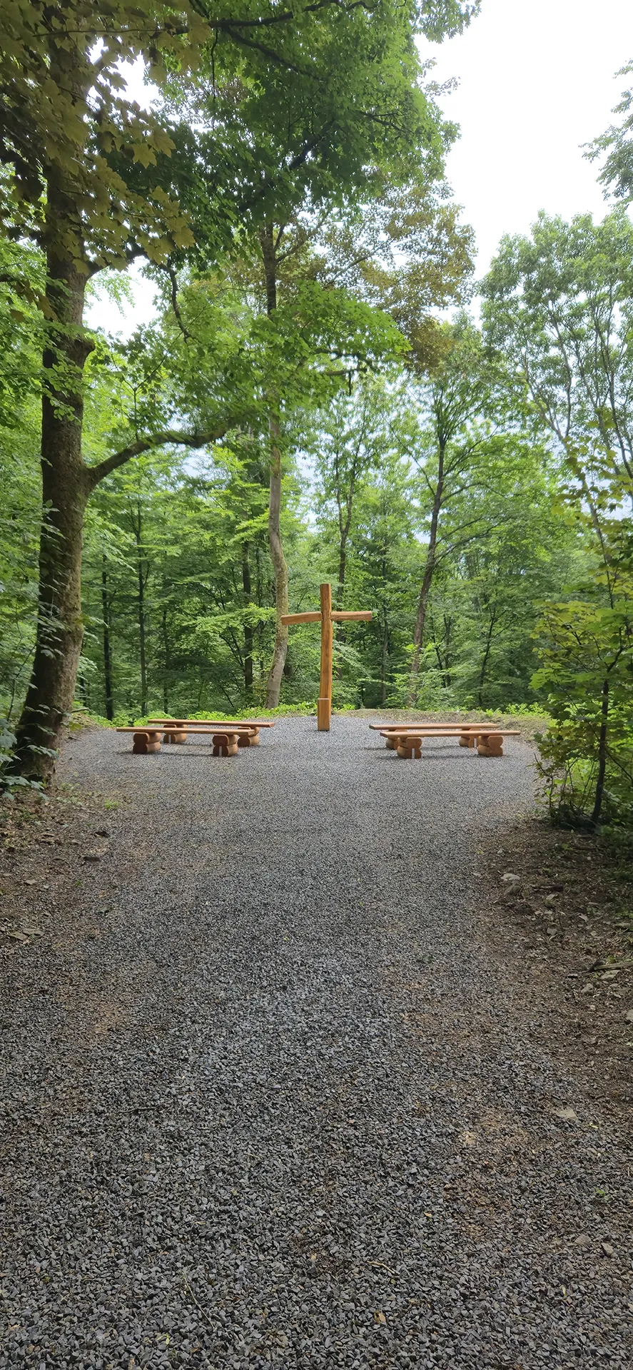 Alter Buchenbestand im Begräbniswald Ehringhausen Remscheid