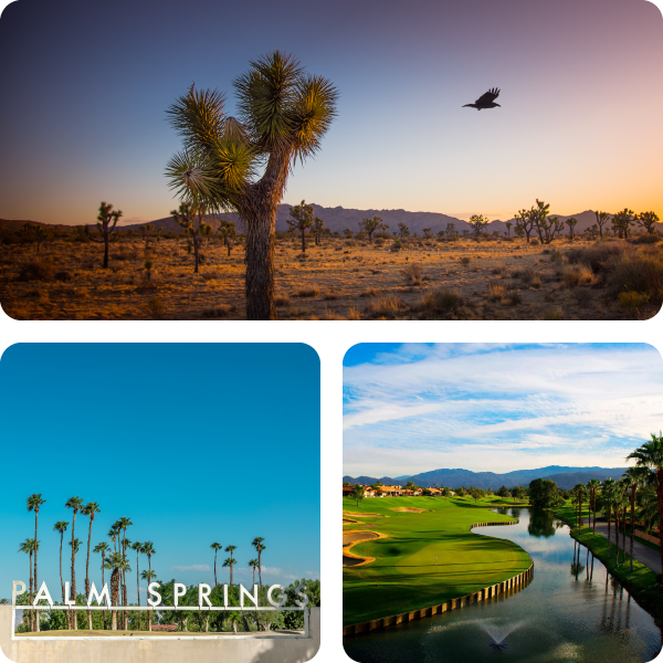 A collage of images featuring a panoramic view of Joshua Tree National Park and Palm Springs.
