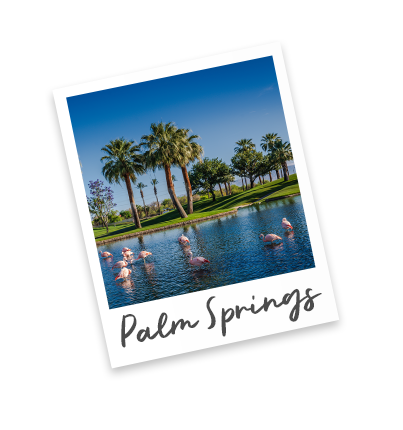 A polaroid featuring flamingos perched within a shallow pond along a golf course.
