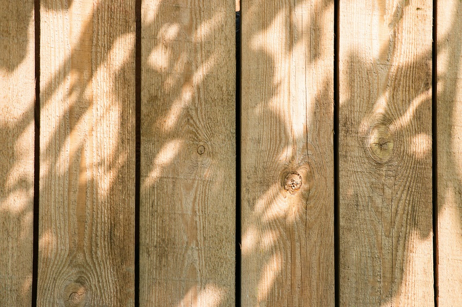 A pine fence