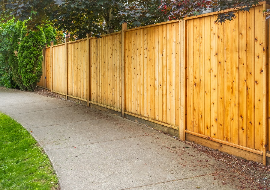 An Incense Cedar fence