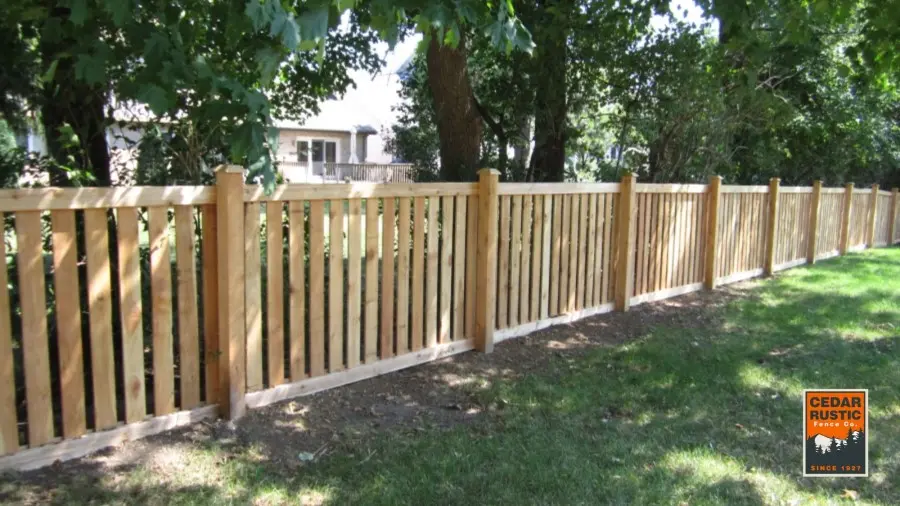 Budget-Friendly Dog Fence Alternatives