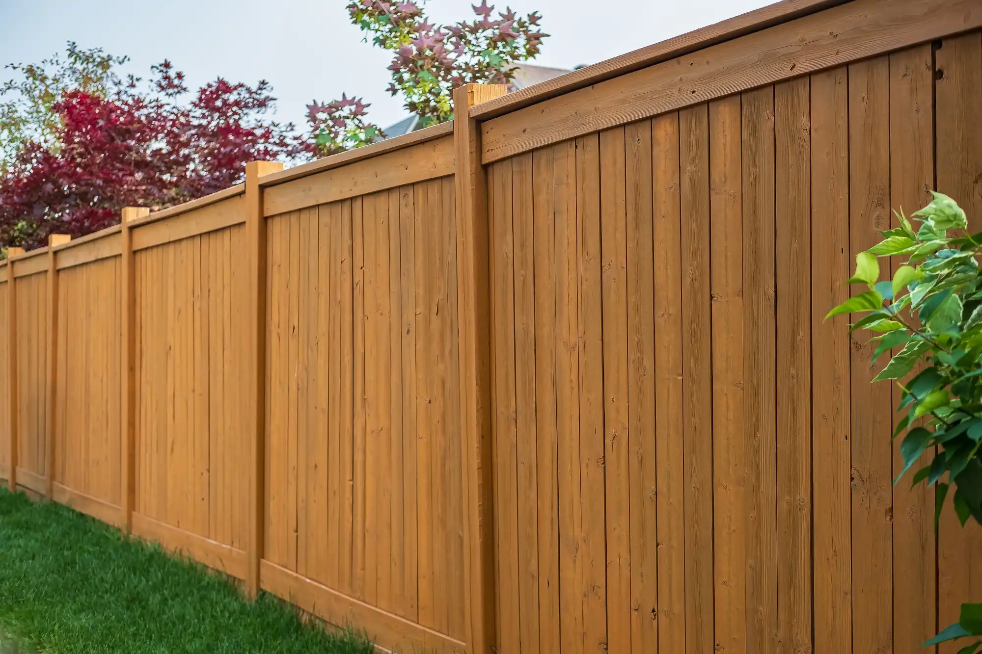 first photo of white beautiful fence