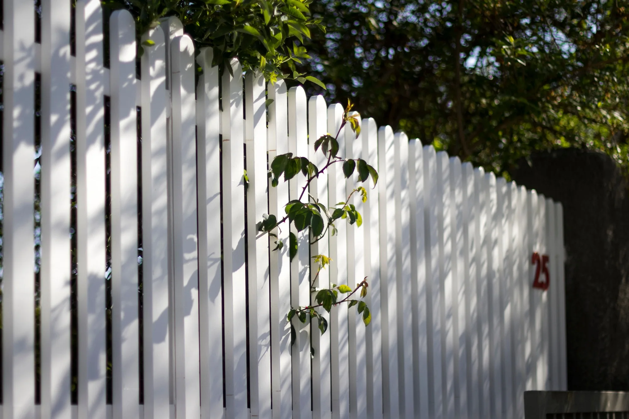first photo of white beautiful fence