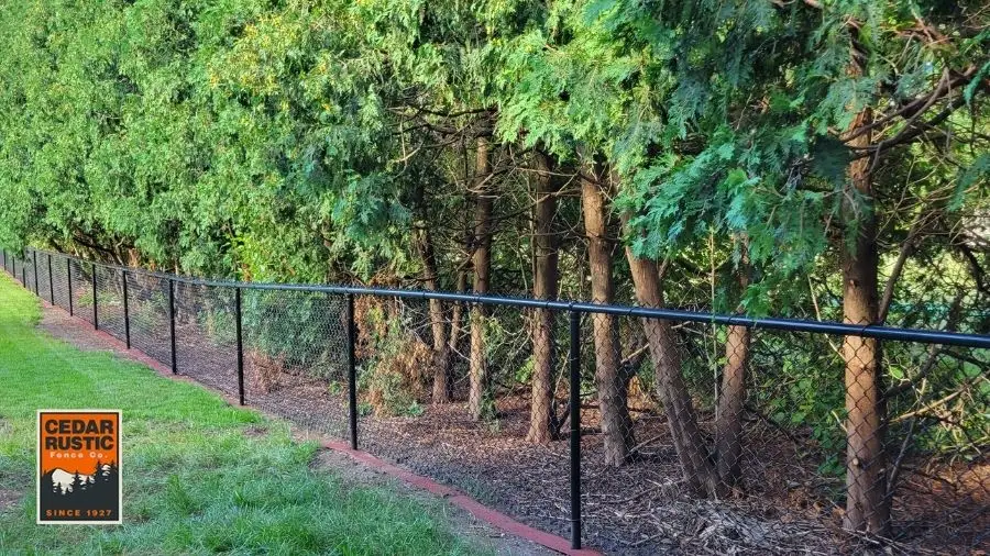 Chain Link Fences: A Classic for Security and Affordability