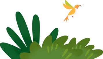 grass with a bird background image