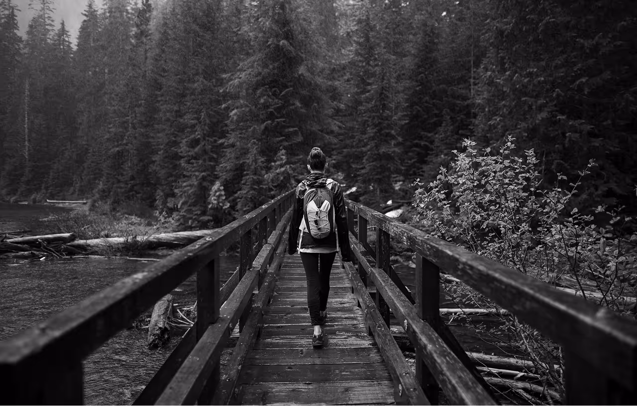 Journeyz platform visualized by a person crossing a wooden bridge in the forest, symbolizing bridging SaaS retention blindspots across value, adoption, and renewals.