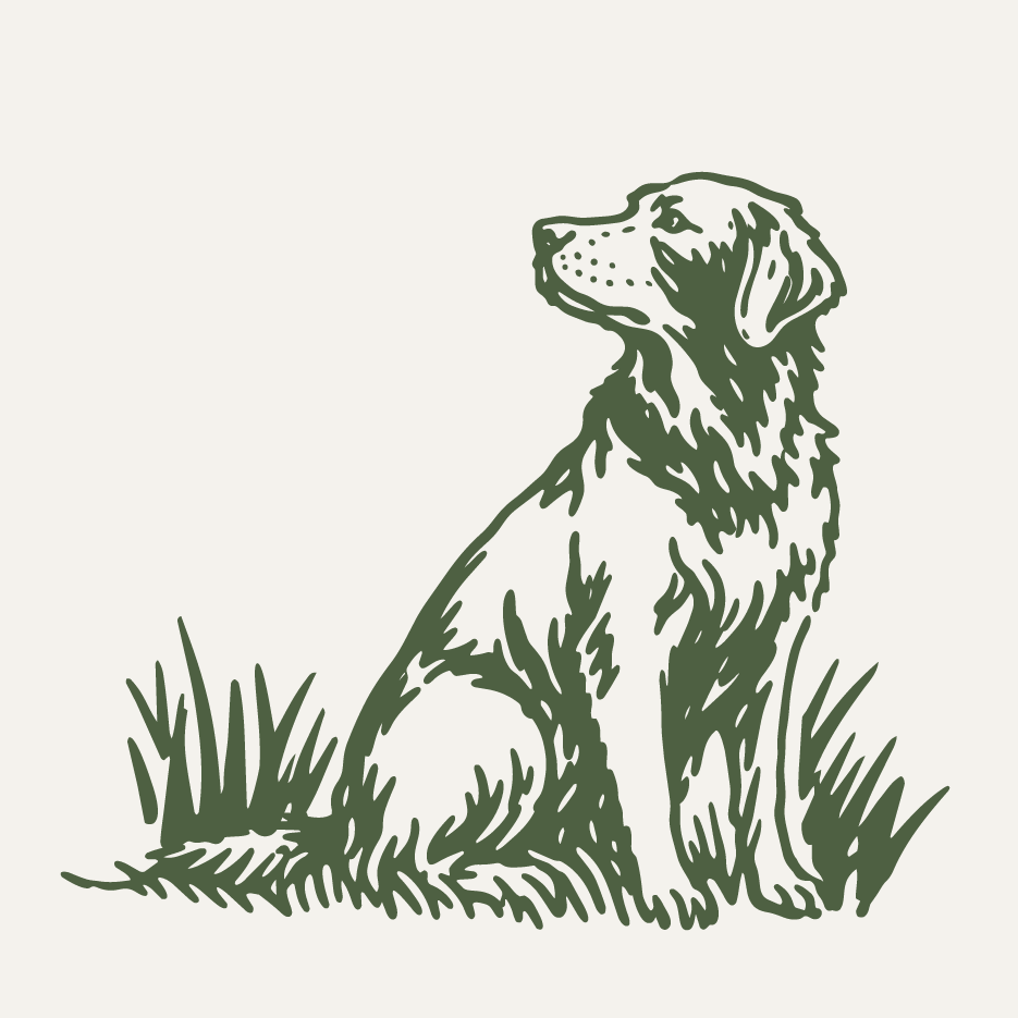 The British Retriever Trophy project image 1