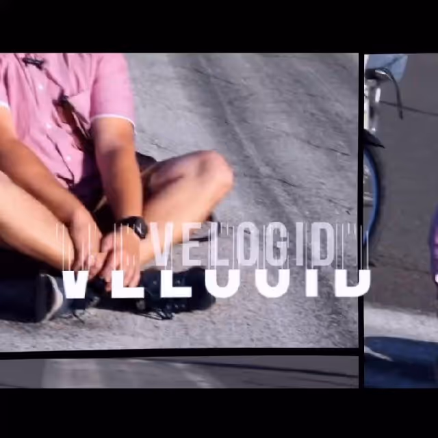 Velogid Telegram Channel