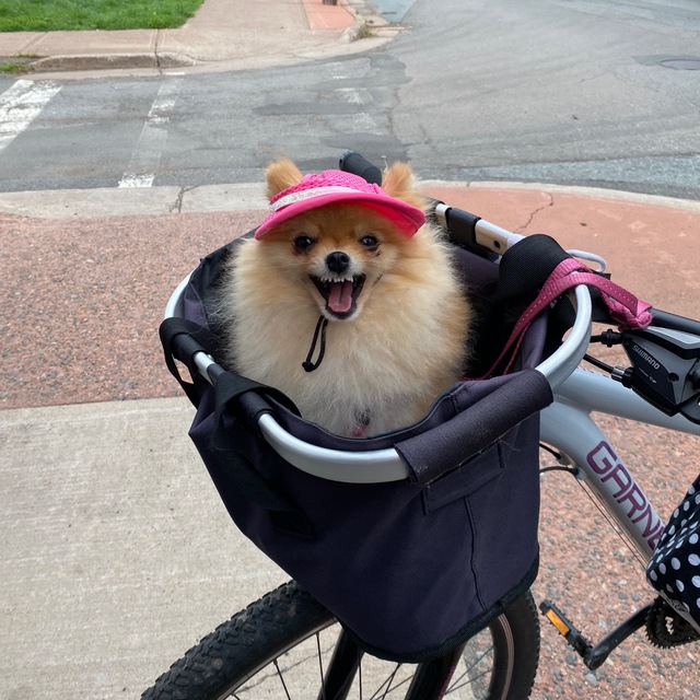 Drag Burlesque Queer Events Berlin