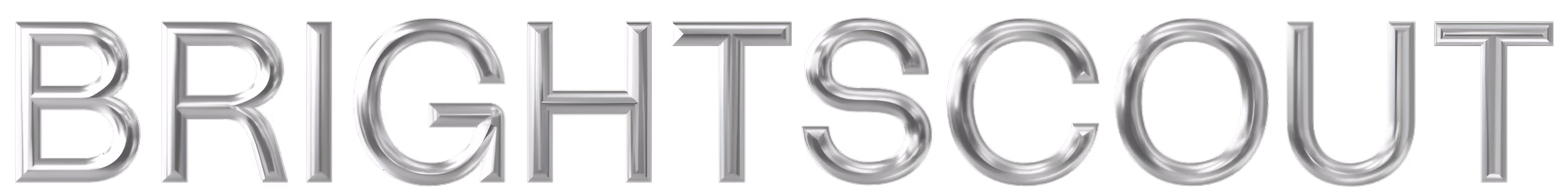 Brightscout Word Mark on a chrome effect