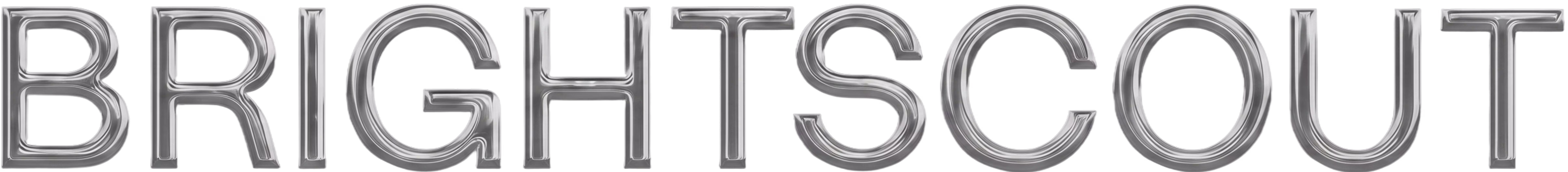 Brightscout Word Mark on a chrome effect