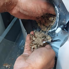 Mains manipulant un nid d'insectes dans un appareil métallique ouvert.