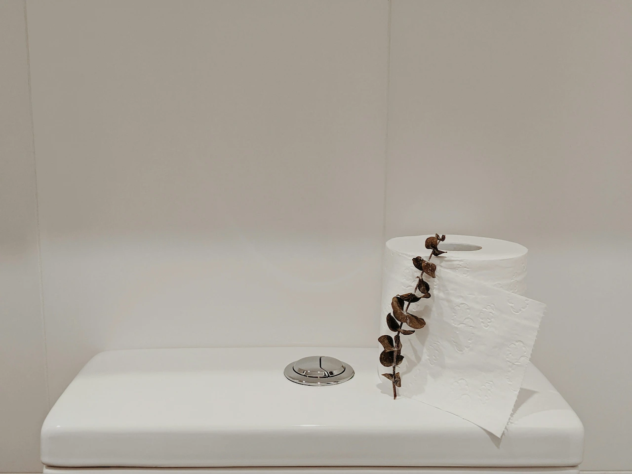 Rouleau de papier toilette posé sur le réservoir de toilettes dans une salle de bain