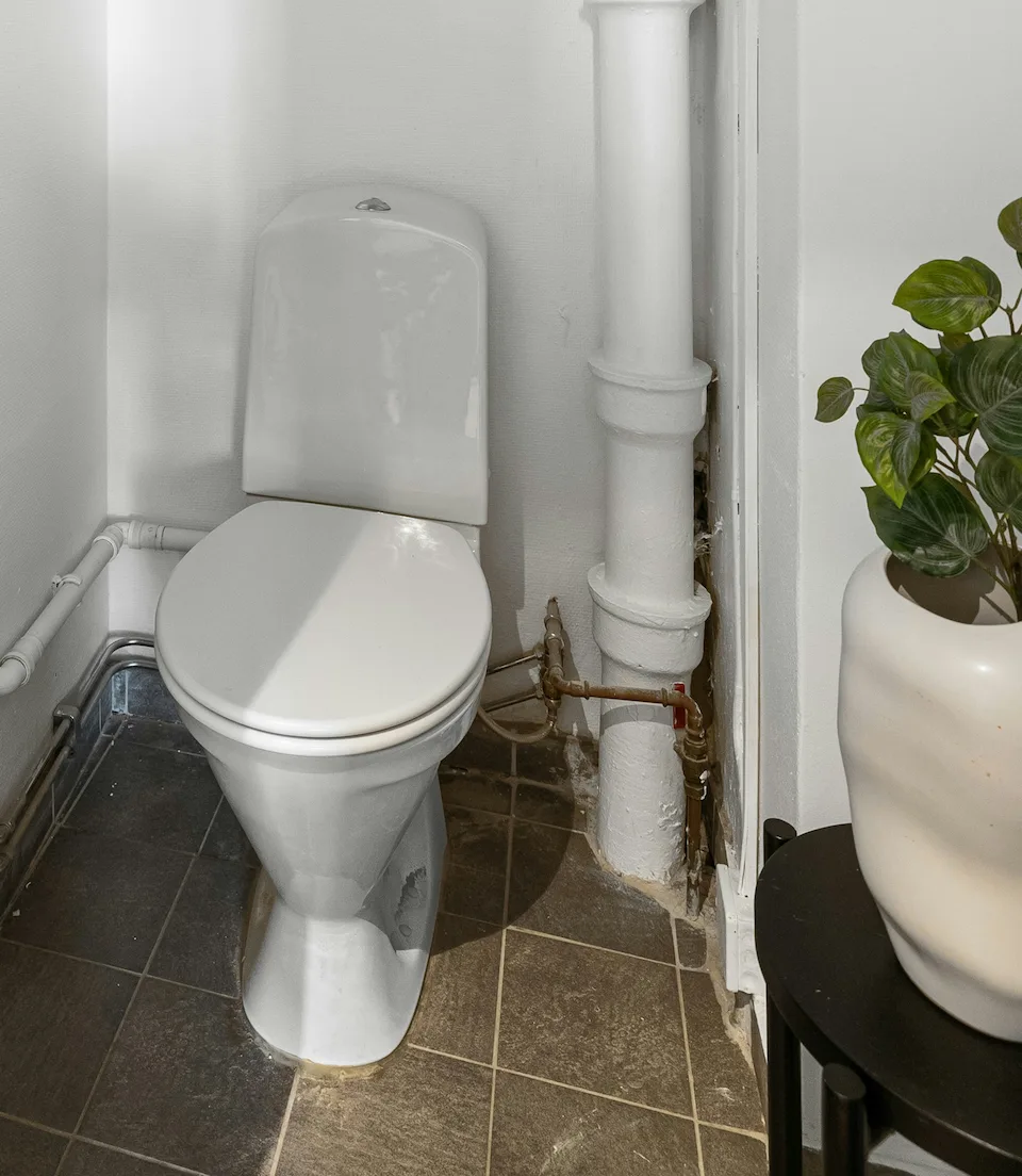 Petite salle de toilettes avec un WC blanc contre un mur blanc, un tuyau vertical et une plante verte dans un vase sur une petite table noire.