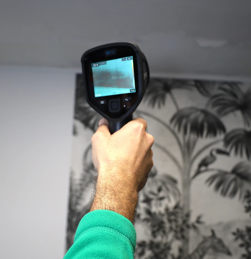 Main tenant un appareil de détection thermique pointé vers un mur avec un papier peint à motifs nature.