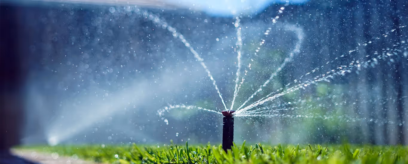 Captación de agua pluvial para riego