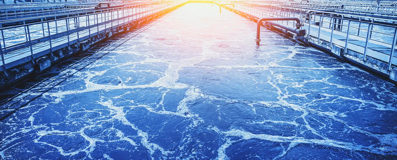 ¿Potabilizar o purificar? La diferencia que puede cambiar tu gestión hídrica