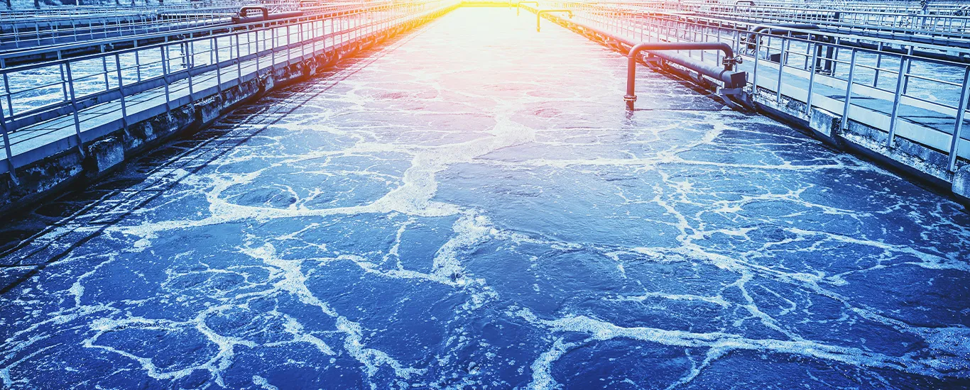 ¿Potabilizar o purificar? La diferencia que puede cambiar tu gestión hídrica