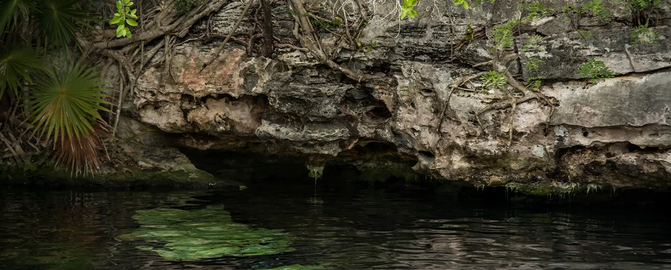 Mantos acuíferos: Acciones para mitigar la sobreexplotación