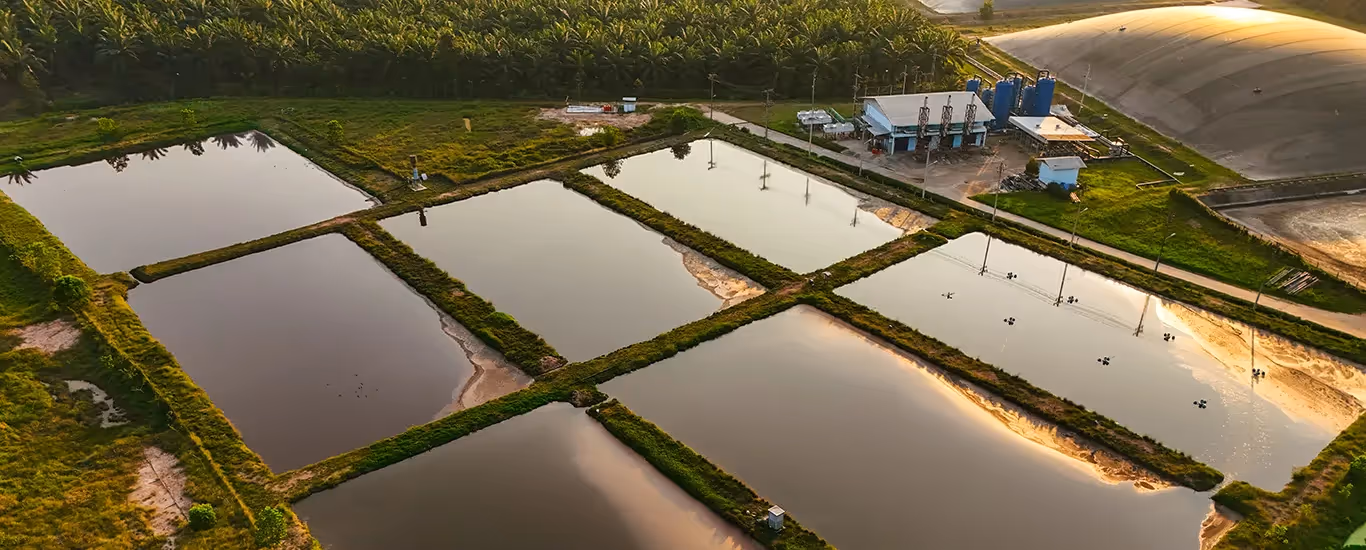 Remediación de agua: técnicas que están transformando el futuro hídrico