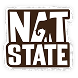 NAT STATE