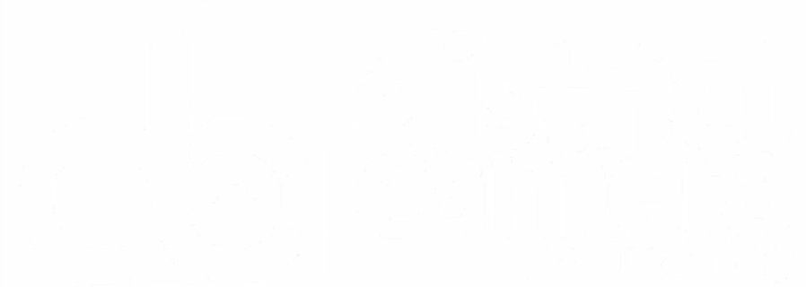 Brand logo - District Camera