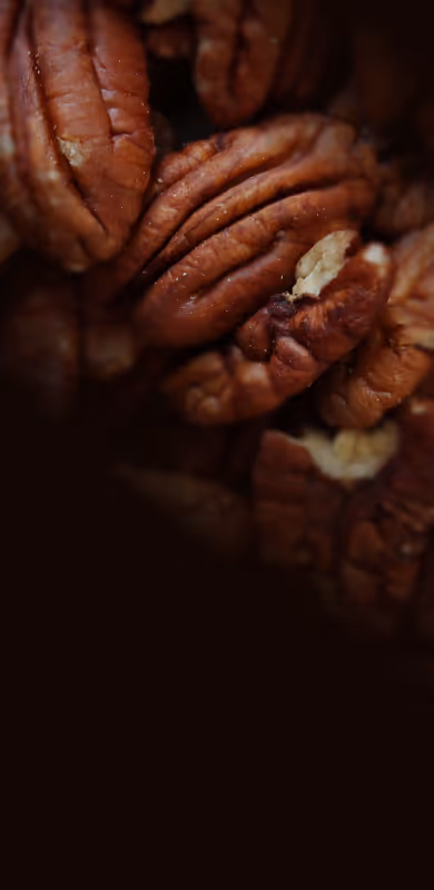 Priester's Pecans BG