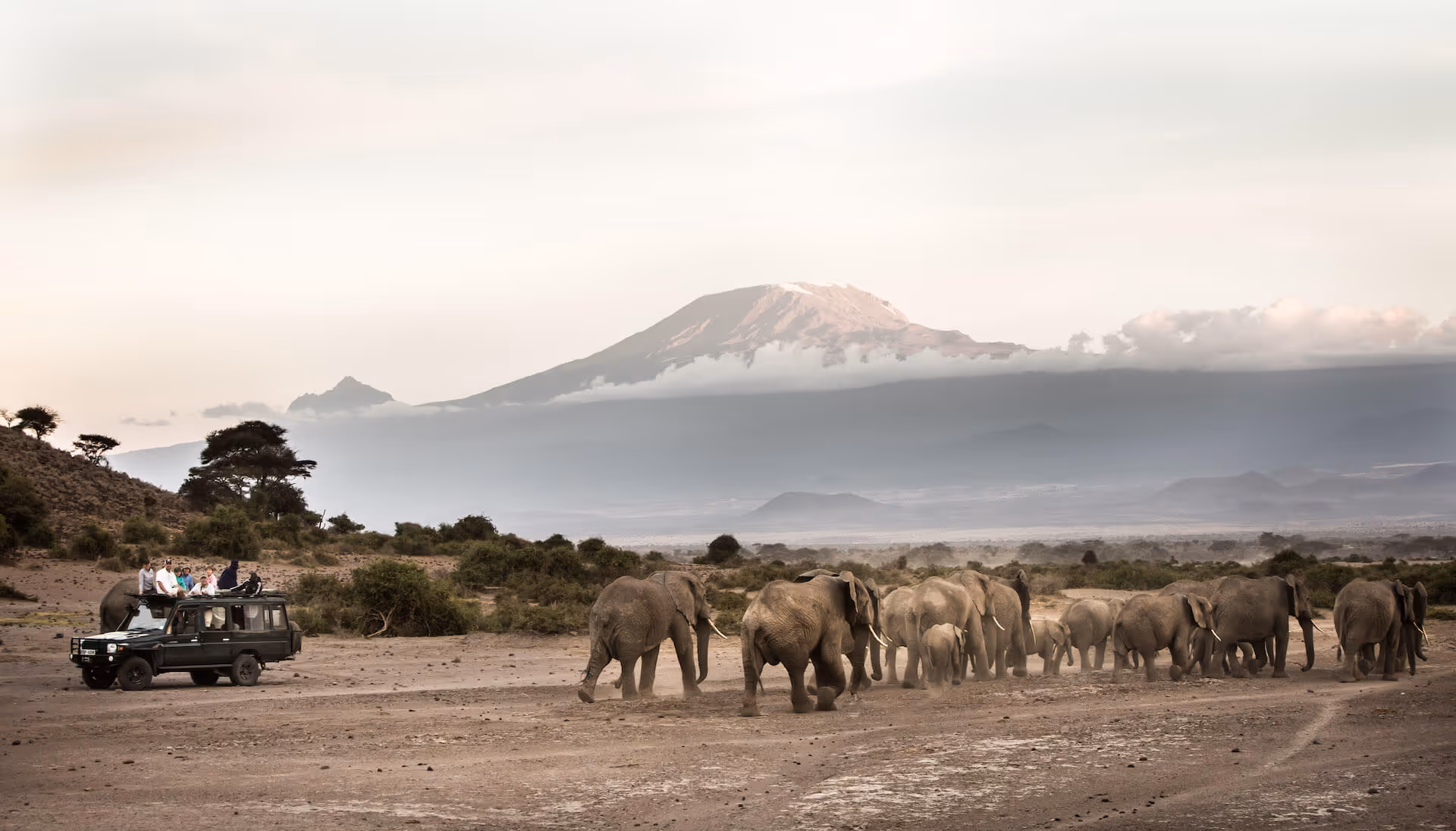 Guests enjoy a specialist tour guide.