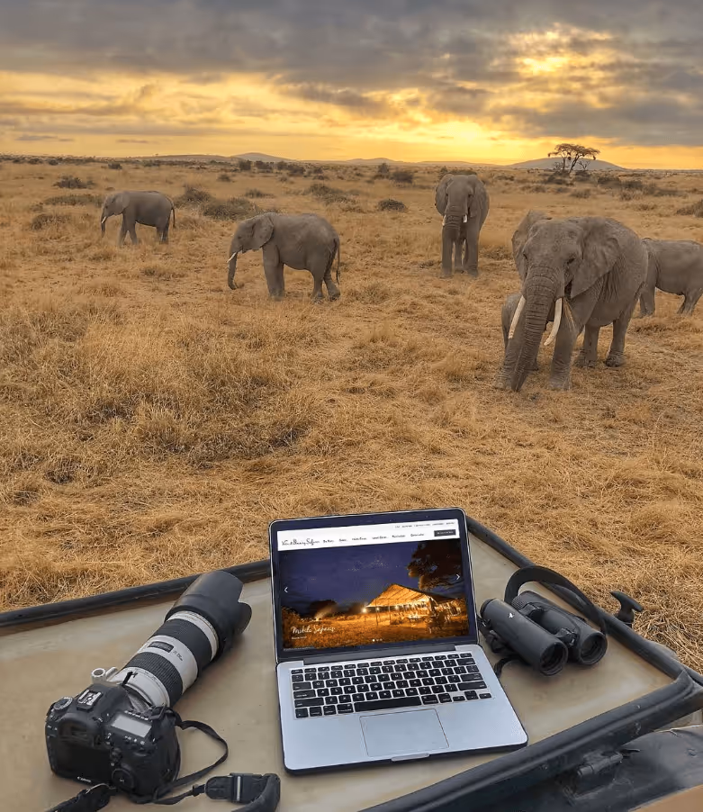 Laptop and camera on table with elephants in front