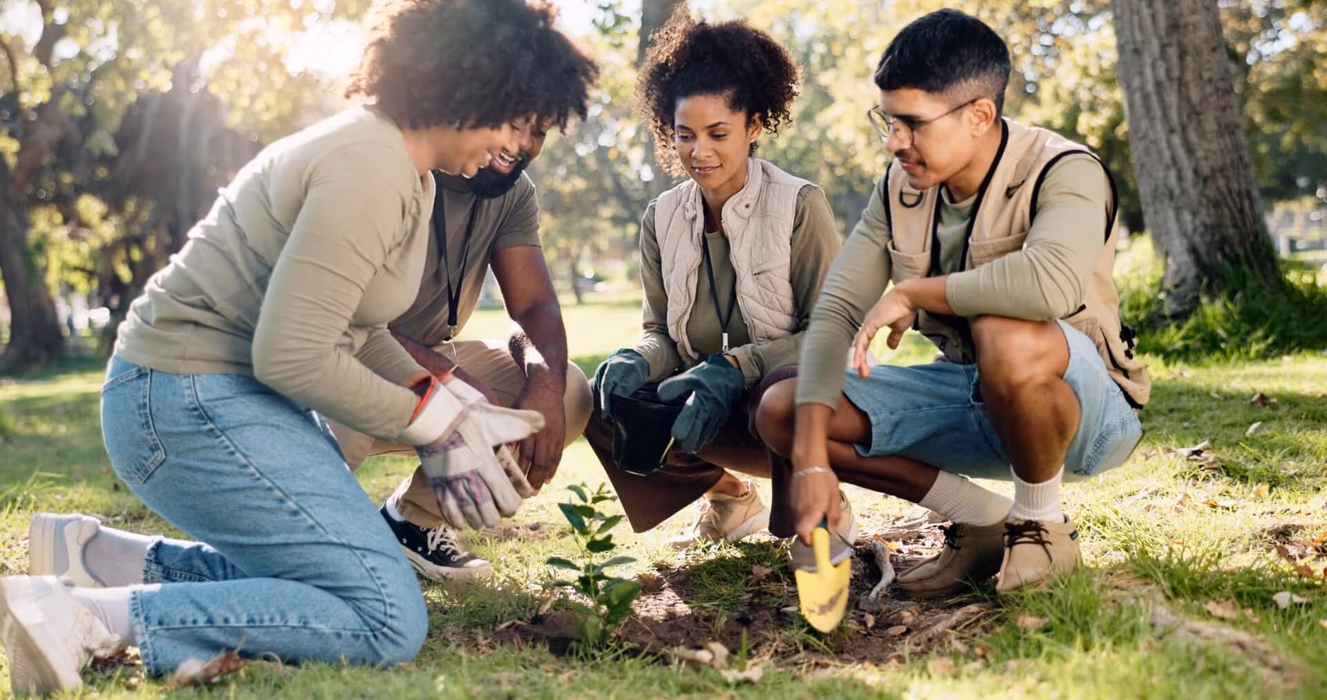 Group of people planting a small tree